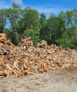 Bulk Green Three Cords Firewood